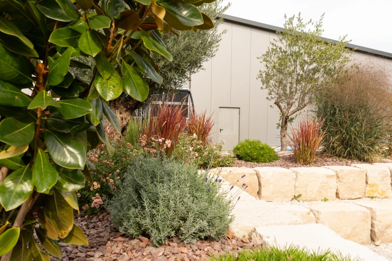 Grasses, shrubs and small trees in a raised planting area edged with light natural stone blocks