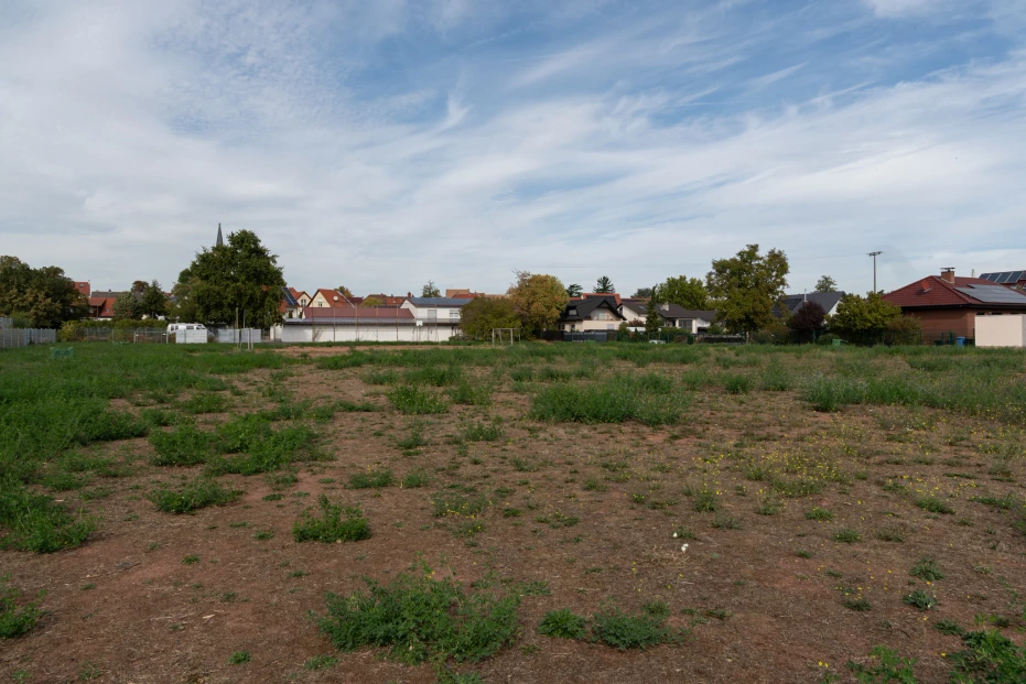 The currently undeveloped site of the planned residential development in Erpolzheim
